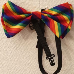 Noeud-papillon.
