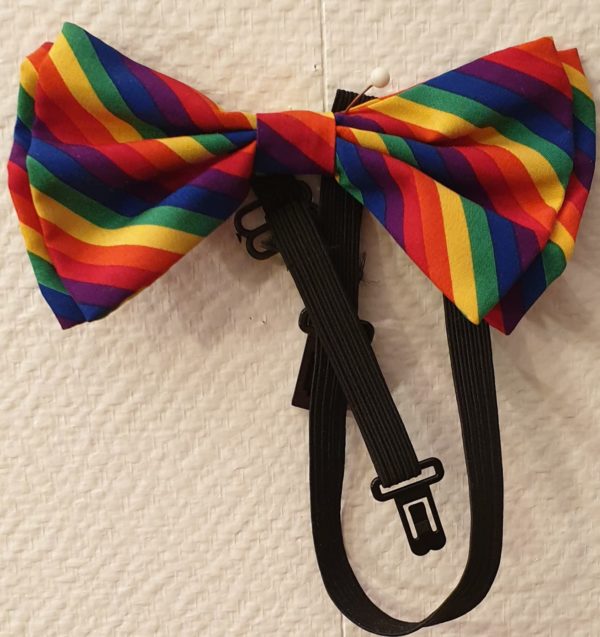 Noeud-papillon.