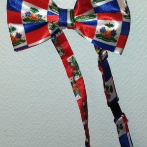 Noeud-papillon.