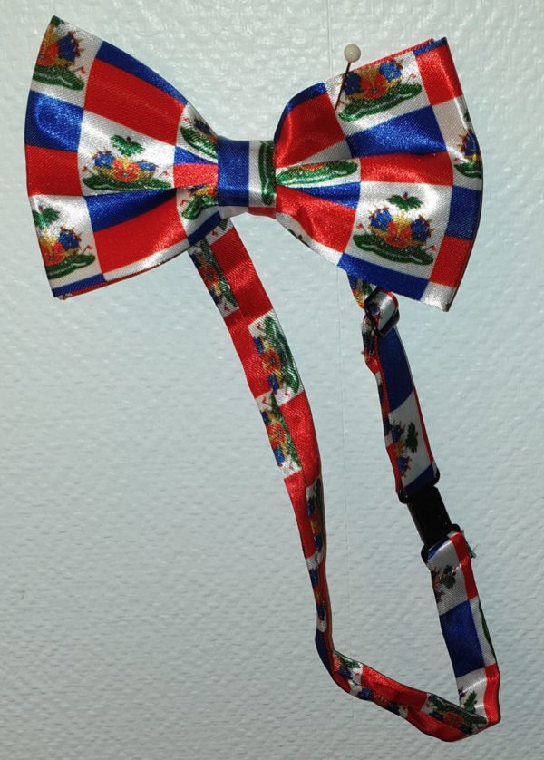 Noeud-papillon.