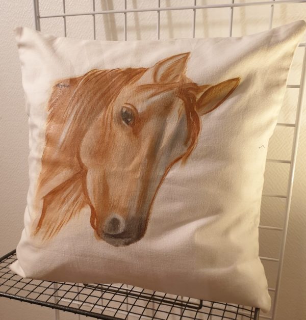 Coussin 5